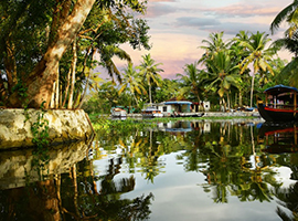 Cochin , Munnar , Alleppey and Kumarakom 