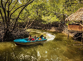 Andaman with Baratang island