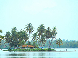 Cochin , Munnar & Alleppey