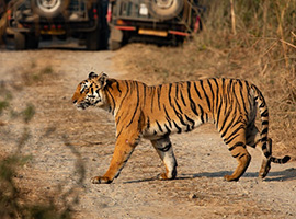 Jim Corbeitt National Par