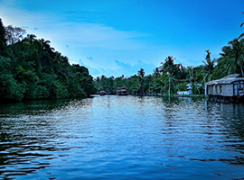 Munnar , Thekkady and Kumarakom