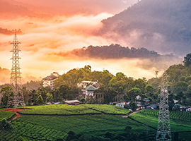 Cochin , Munnar , Alleppey and Thekkady