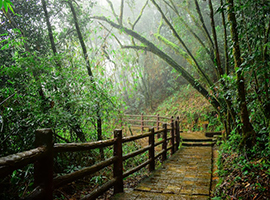 Shillong , Cherrapunji , kaziranga national park and Guwahti