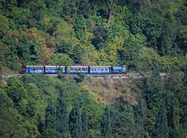 Siliguri , Gangtok and Kalimpong